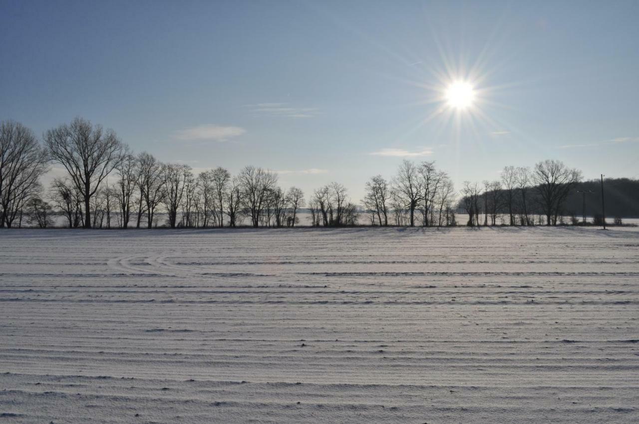 Kulturfreizeiten Ferienwohnungen Neuruppin Exterior foto